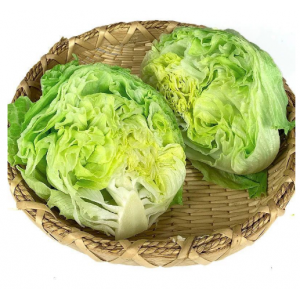 生菜新鲜蔬菜生吃西生菜生菜球圆生菜球形汉堡用3斤5斤现摘现发